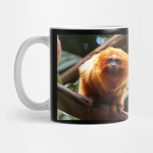 Golden Lion Tamarin Mug